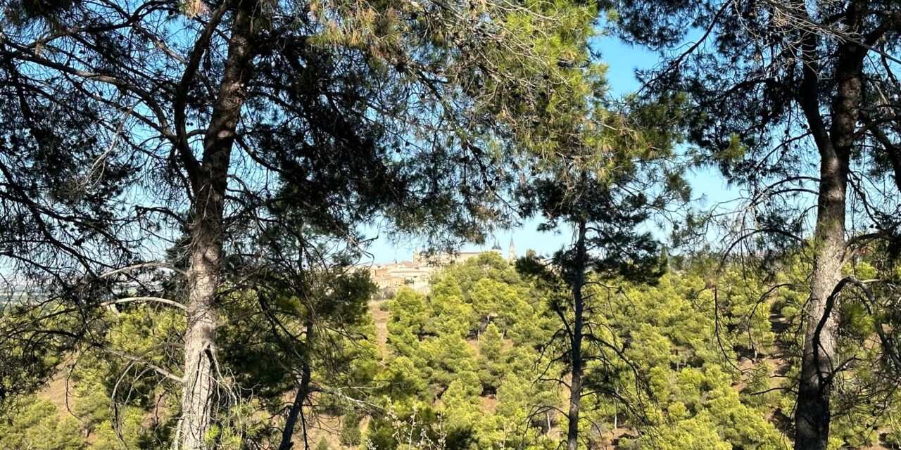 Ruta guiada por el Pinar de La Bastida, en Toledo