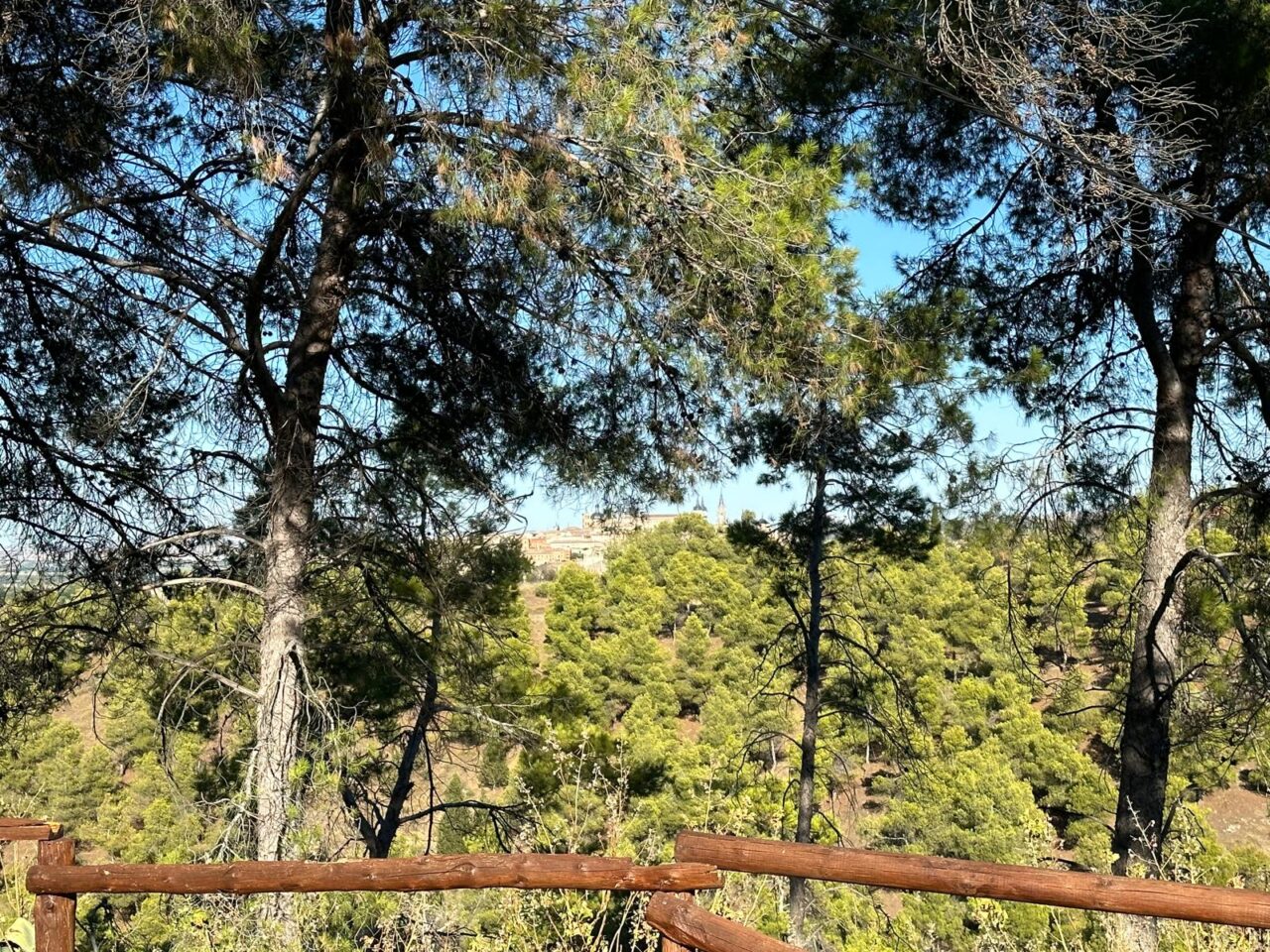 Pinar de La Bastida en Toledo (2024)