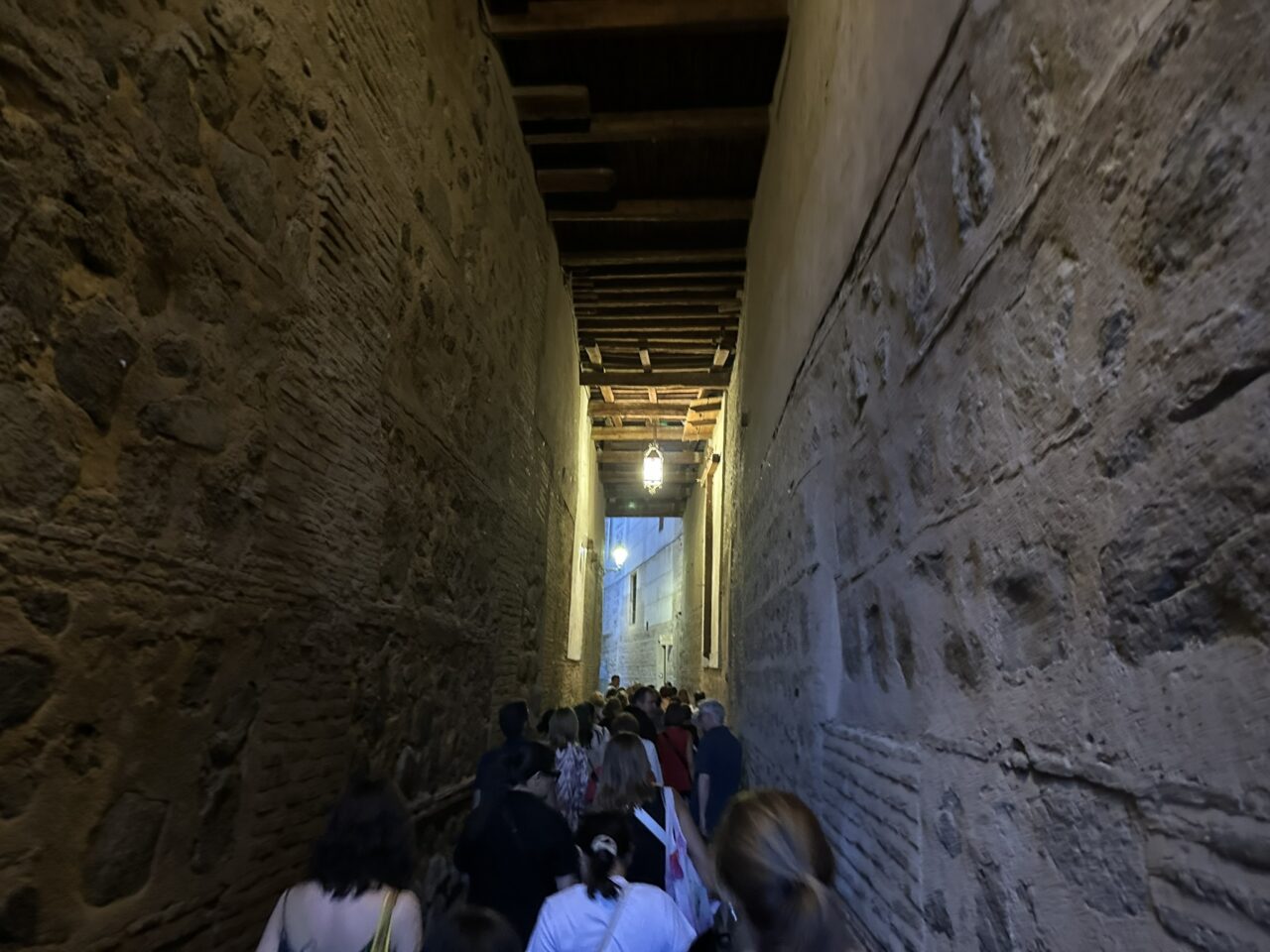 Visita guiada por los cobertizos de Toledo, mayo 2025